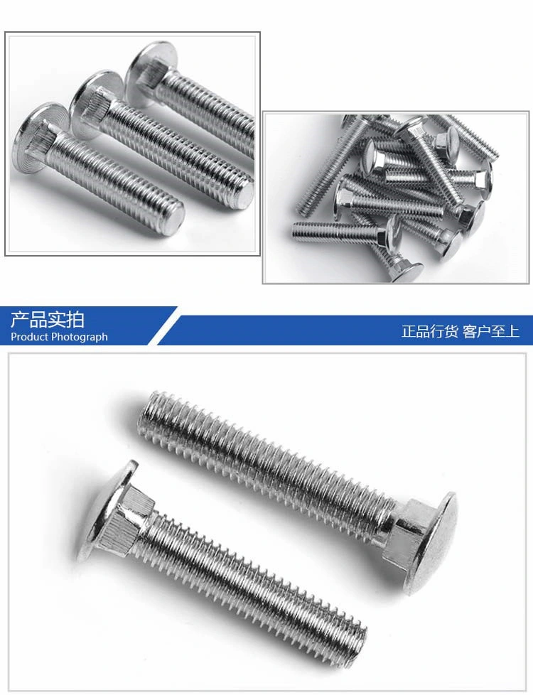 Galvanized & Stainless Steel SUS304/316 (A2/A4) Round Head Square Neck Carriage Bolts