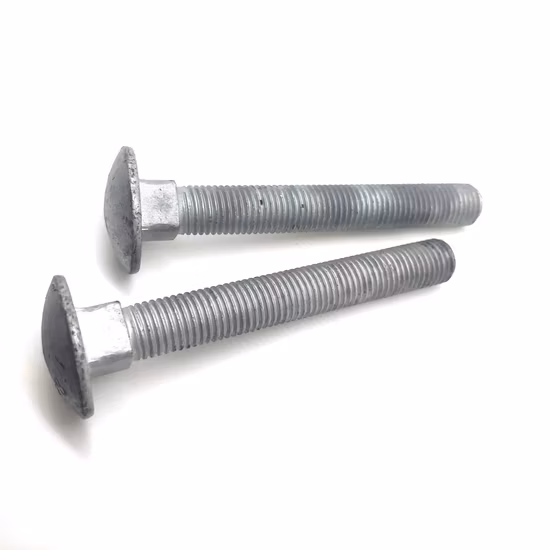 Stainless Steel Hex Head U Bolt Hex Flange Square Head Bolts